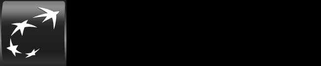 Logo BNP